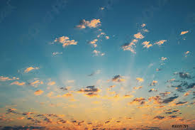 images (25)