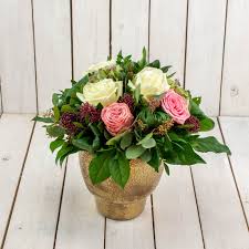 images (43)