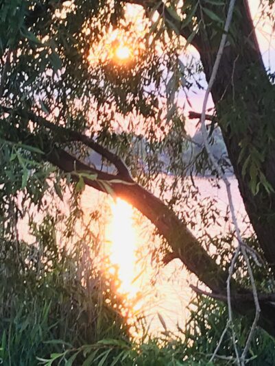 8218AAE1-8299-4E85-B912-6404C451A49D