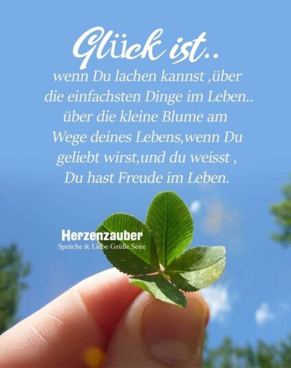 wer 1