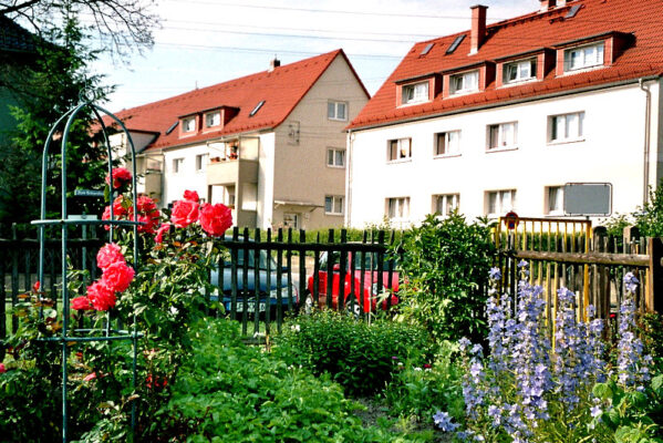Noch blüht es.