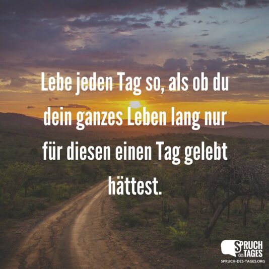 lebe-jeden-tag-so-als-ob-du-dein-ganzes-leben-lang-nur-fuer-diesen-einen-tag-gelebt-haettest.jpg.pagespeed.ce.52Di0oVqZk