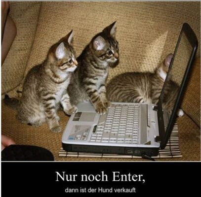 Hund verkauft