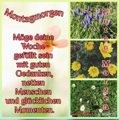 499477524_4113972108923593_9075923381478562939_n