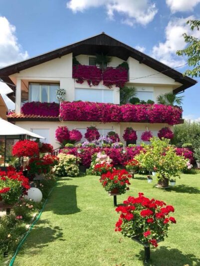 161492639_5306585229415370_3680406865231233605_n