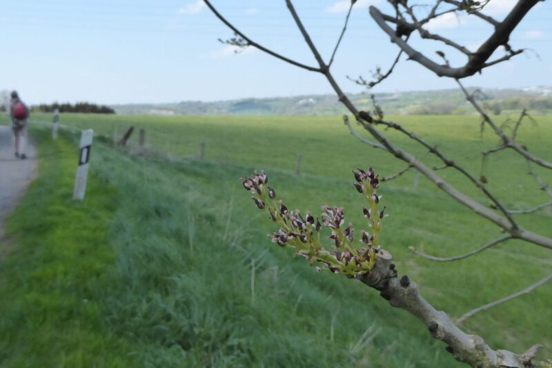 20220424 Neviges (123)