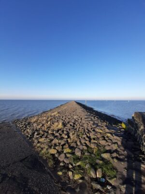 IMG-20201205-WA0002