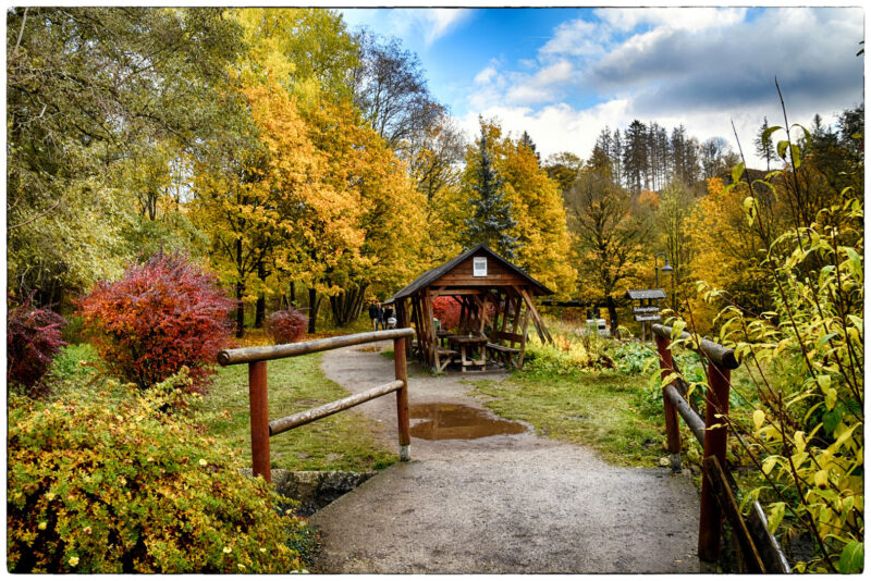 goldener-oktober-7cd284c3-5765-4d5b-a5c0-3eedb2538734