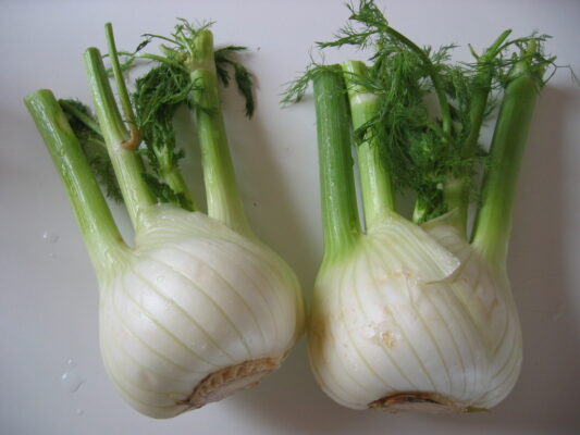 fenchel