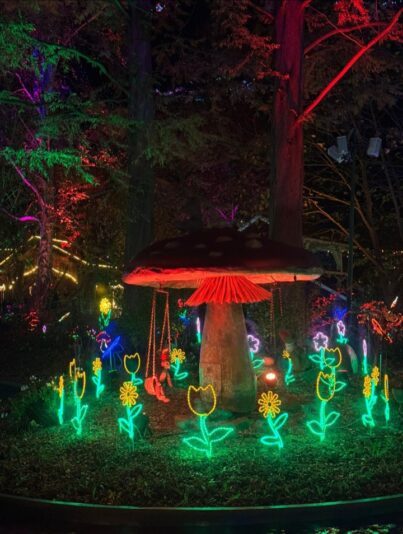 Screenshot_20241103_214814_WhatsApp