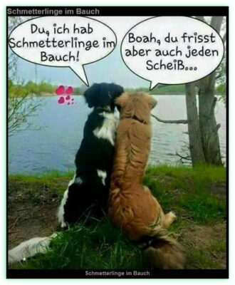 Schmetterlinge im Bauch