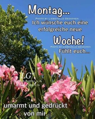 516435237_2493853190973028_2993957276704746444_n