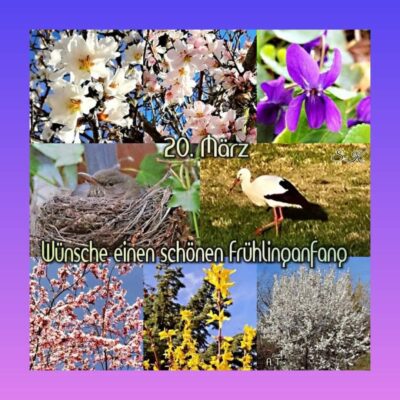 417690093_1541852139997171_8513310607324744100_n