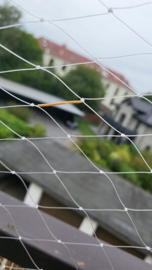 -5445018667692706915_121