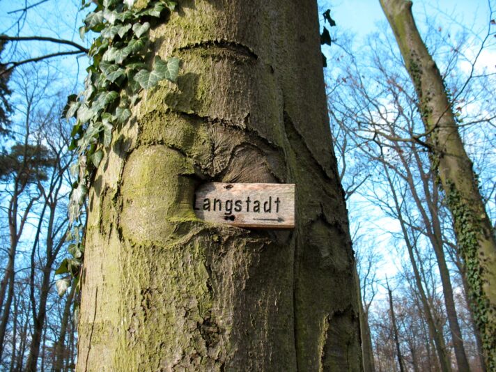 schildkleestadtwald1a