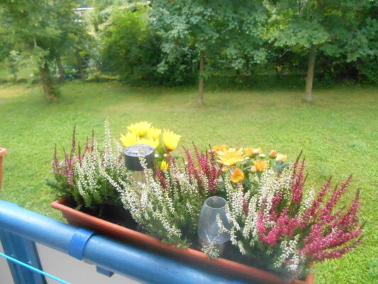 DSCN1331