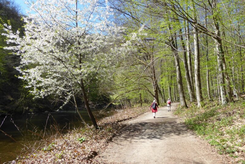 20220418 Müngsten (14)