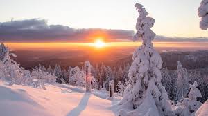 images (84)