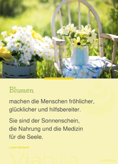 blumenspruch-menschen-froehlicher