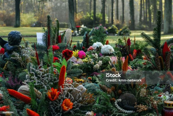 istockphoto-1069185394-1024x1024
