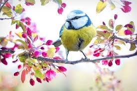 images (28)