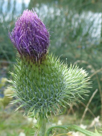 9.7.2022 Fitness (39)