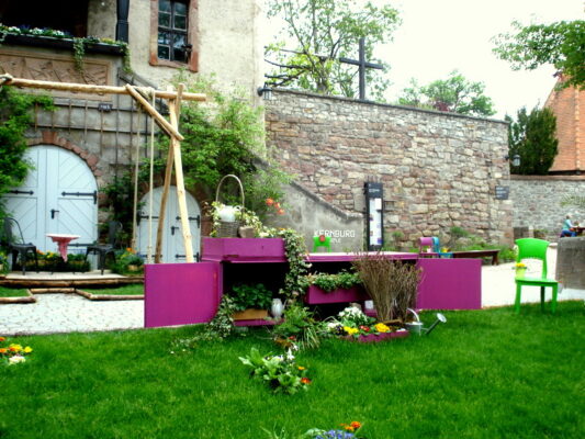 DSC06479
