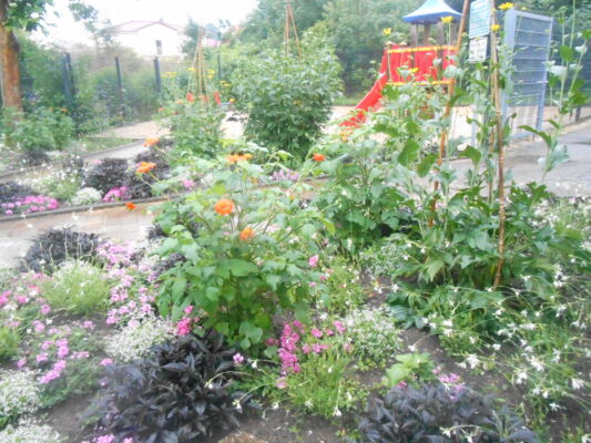 DSCN1319 (1)