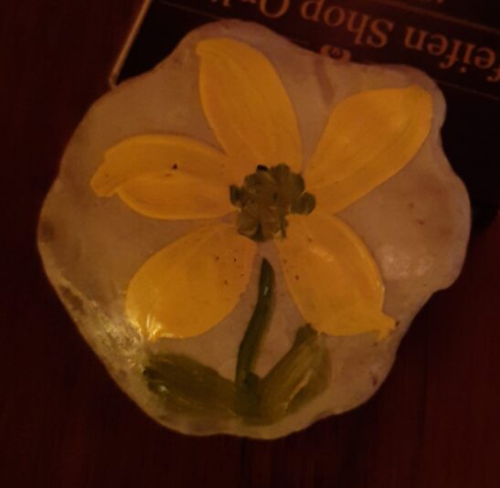 IMG-20201209-WA0001