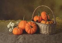 images (17)