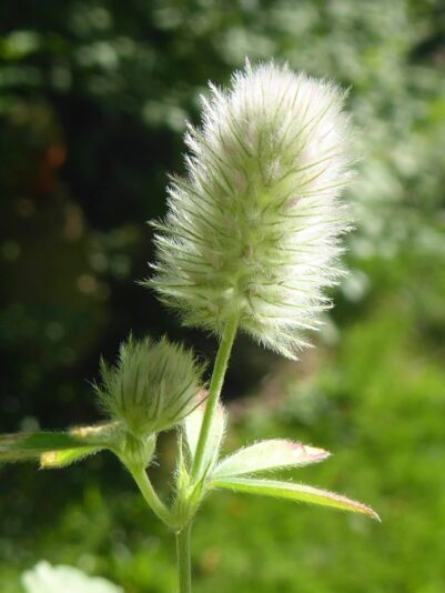 10.+11.8.2022 Babyboy ist da.. (68)