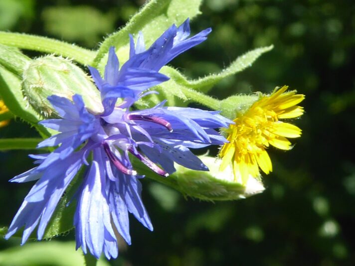 Montag 1.8.2022 (37)