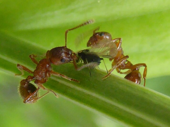 11.6.18 Vormittag Schwimmen (26)