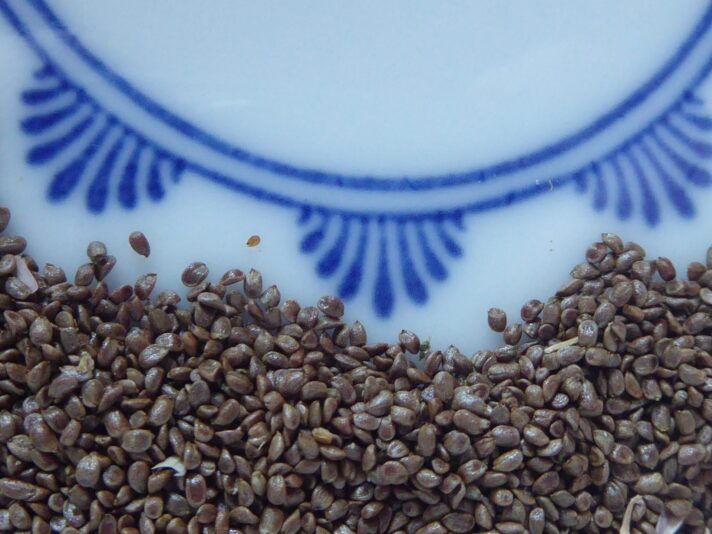 1.9.2021 Antikriegstag (41)