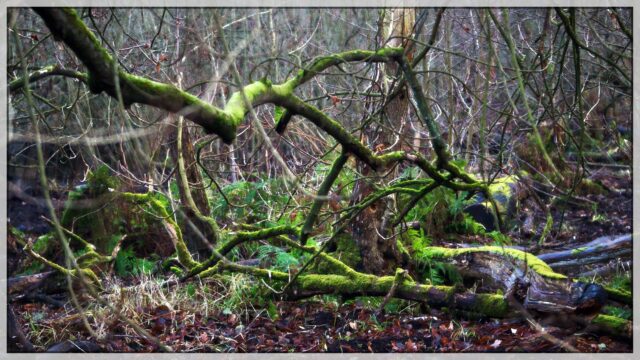 _DSC2267_HDR