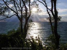 images (30)