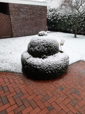 IMG-20201229-WA0003