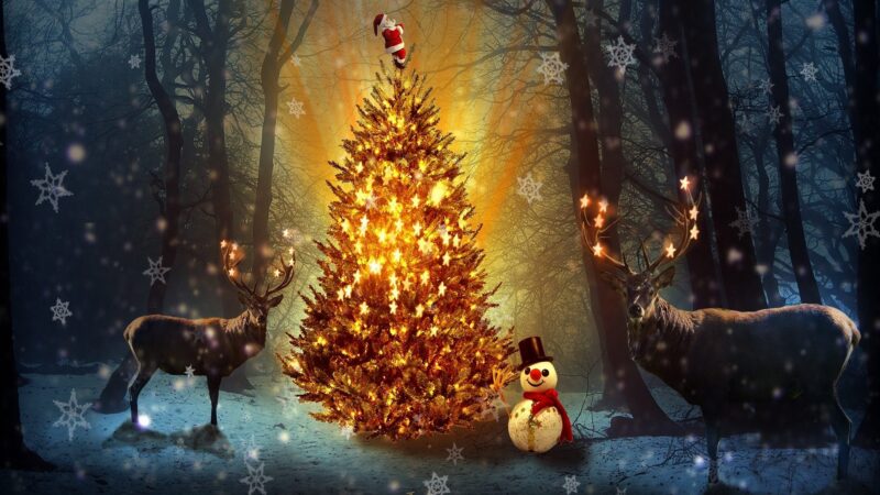 weihnachten-021