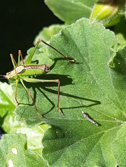 E55B1B92-3E1F-48EA-B224-AC7BCD45D3A7