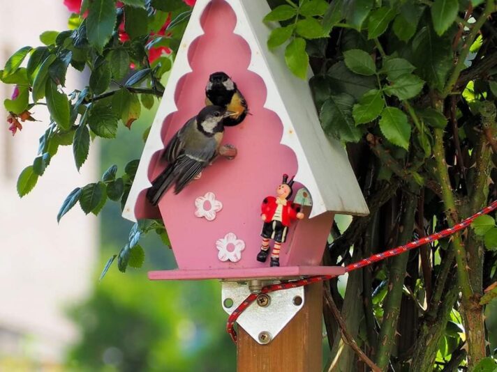 FB_IMG_1594658756582