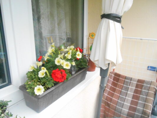 DSCN1334