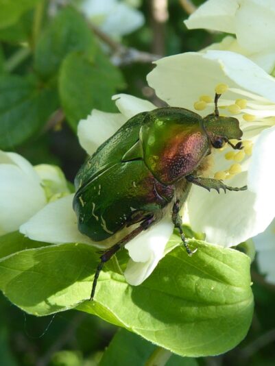 11.6.2021 Freitag (76)