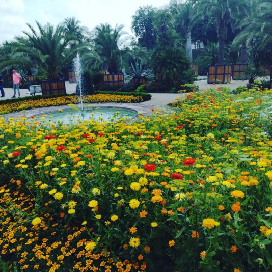 242284878_1466666607043556_5029262943023295424_n (1)