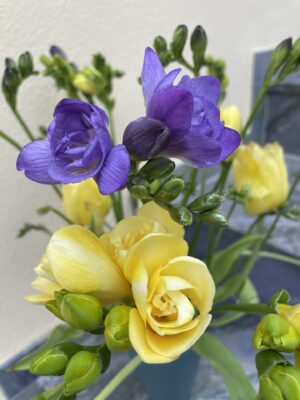 B7DBA167-F94C-49B9-832B-EE1A8B382F89