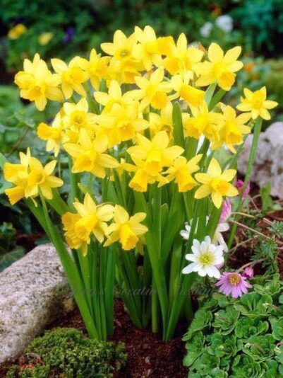 94206965_2604130243158110_4103567266774253568_n