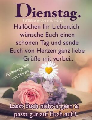 a256e6c9d6c3b8614c481cd47a66ad2f