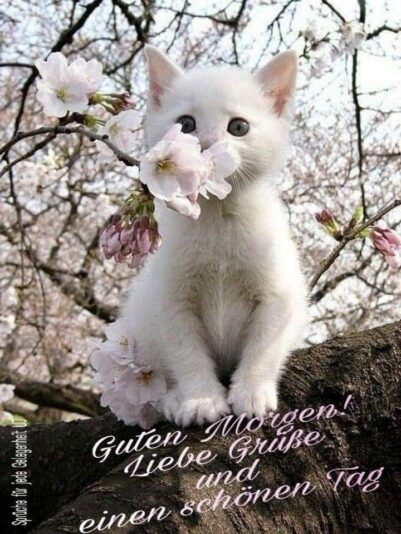 178672625_1213770029077301_8133526655811268866_n (1)