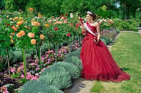 images (17)