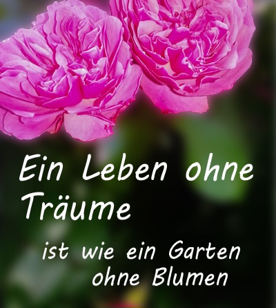 sprueche-blumen-und-leben
