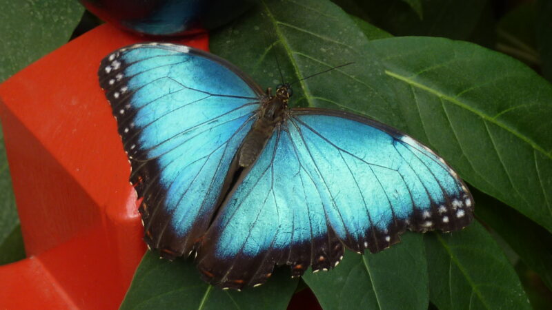 P1020851